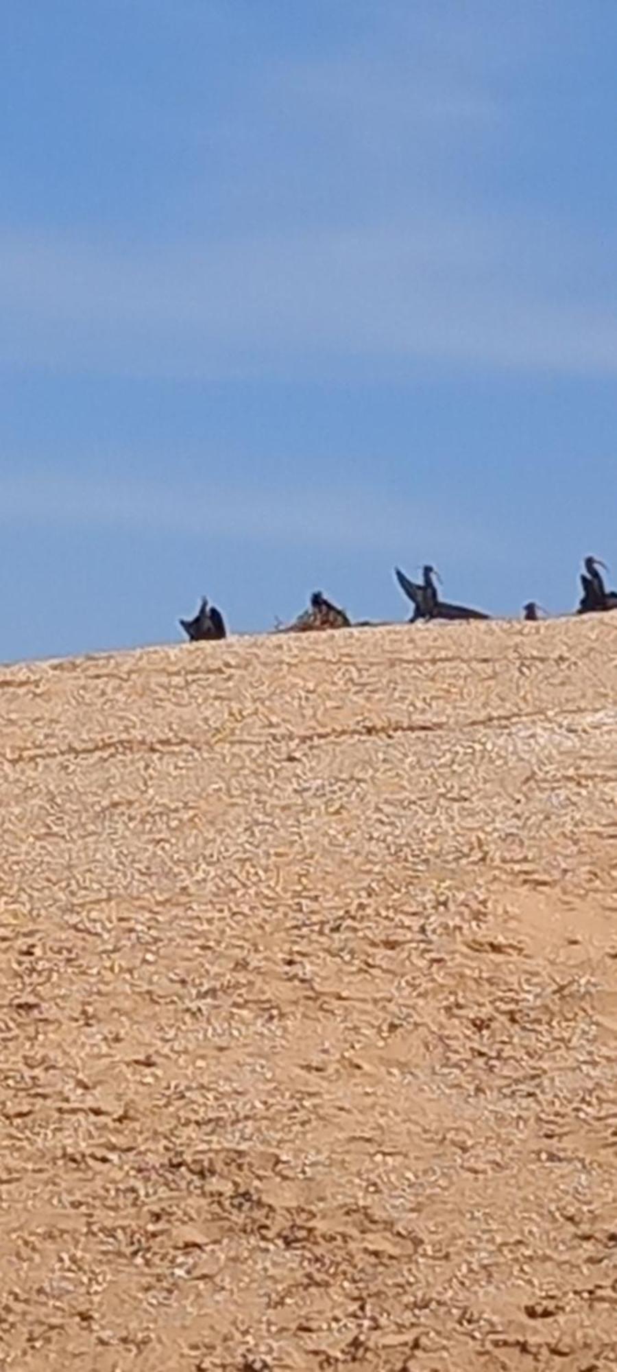 Résidence Fanti Sidi Binnzarene Esterno foto